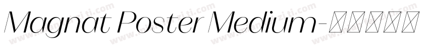 Magnat Poster Medium字体转换